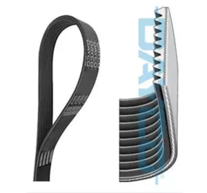 Пас 504370511 0021507001 DAYCO Пас 504370511 0021507001 DAYCO